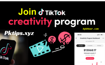 Creativity Program Beta